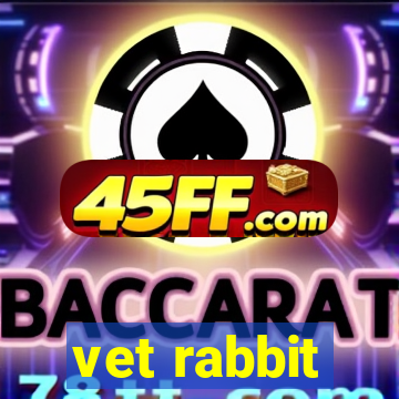 vet rabbit